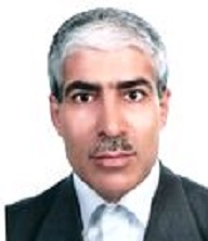 دکتر محمدحسین رحیمی راد