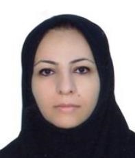 نوبت دهی دکتر پرور زبیری